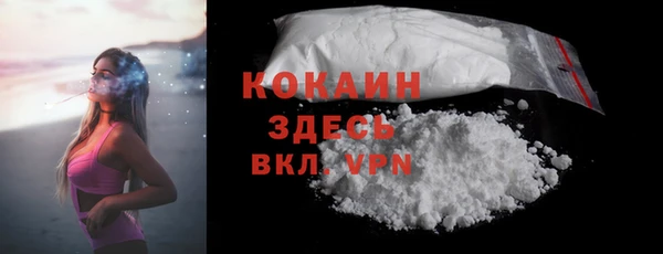 гашик Зеленокумск