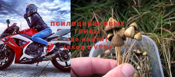 гидропоника Заводоуковск
