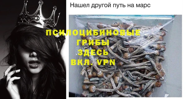 гашик Зеленокумск