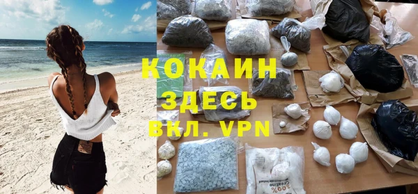 гашик Зеленокумск