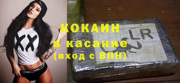 гашик Зеленокумск