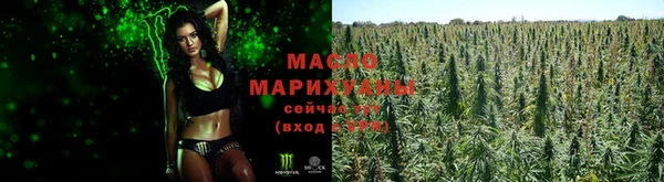 гашик Зеленокумск