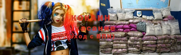 гидропоника Заводоуковск
