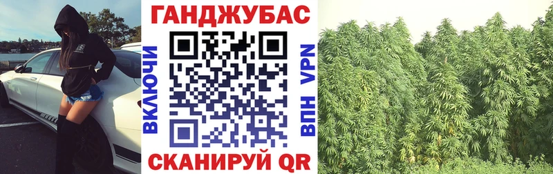 Каннабис OG Kush  Купить закладки  Кириллов 
